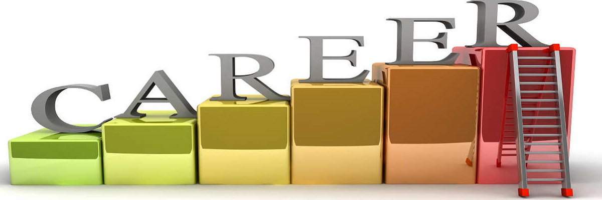 Job Search - Fresher (0-3 years Experience)